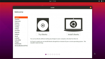 Install ubuntu interface.png